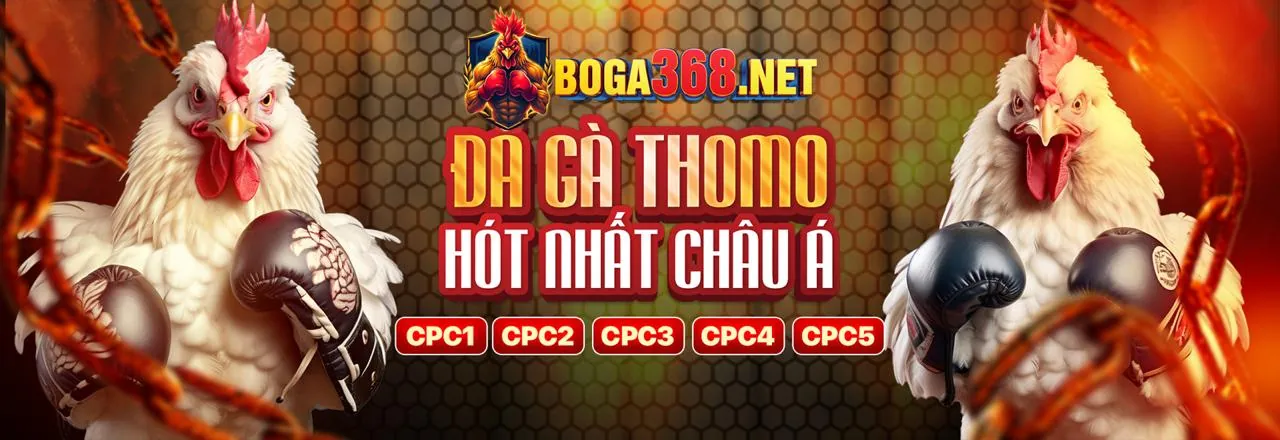 Đá gà c54 code – Đỉnh cao cá cược trực tuyến năm 2026